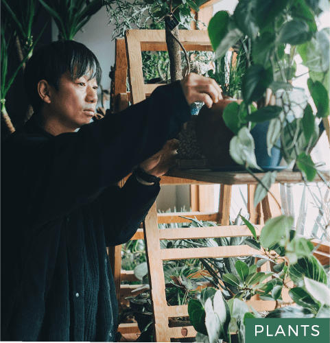 PLANTS